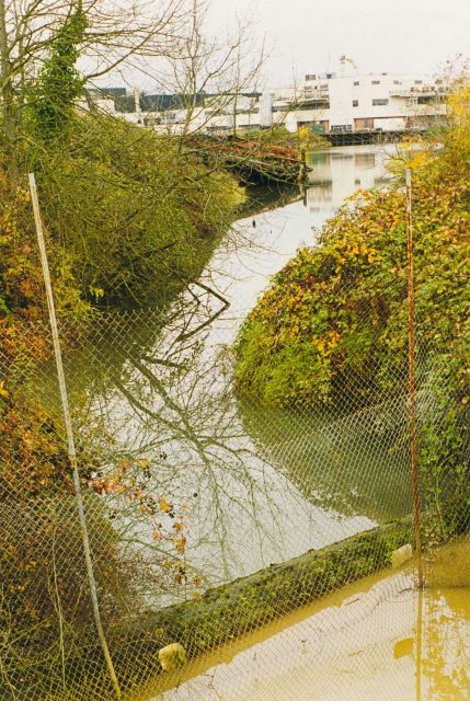 Hamm Creek, a Coastal America project to clean channel to provide better habitat conditions for spawning salmon Picture