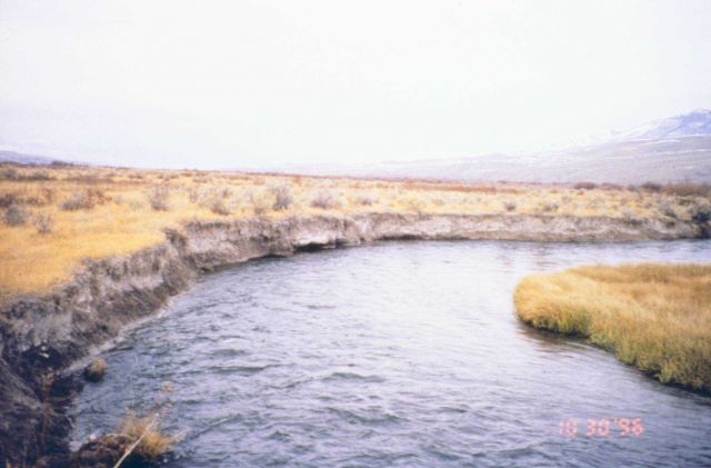 Little Eightmile ranch, another view of the eroding habitats. Picture