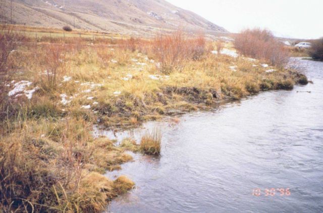 Little Eightmile ranch, another view of the eroding habitats Picture