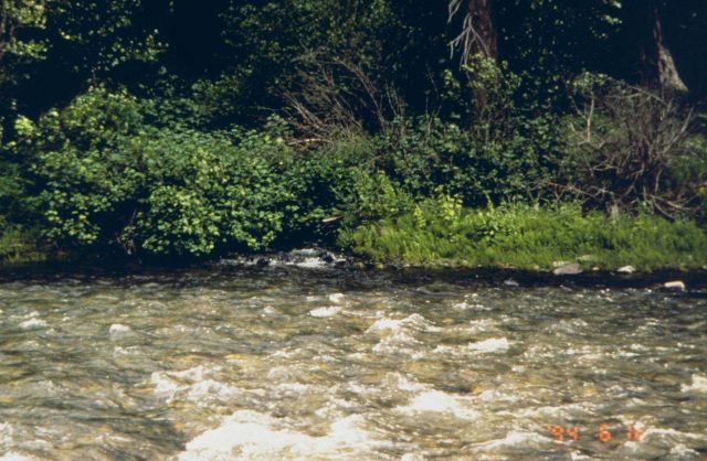 Panther Creek, an image of the stream that was affected by Blackbird Mine Picture