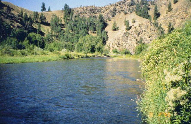 An image of the lower section of Panther Creek. Picture