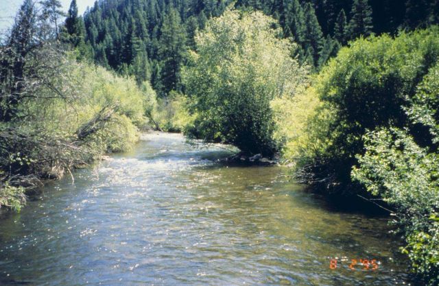 An image of the middle section of Panther Creek. Picture