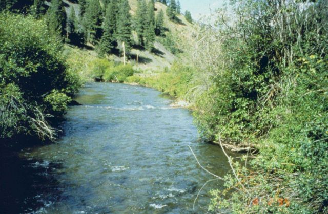 An image of the middle section of Panther Creek. Picture
