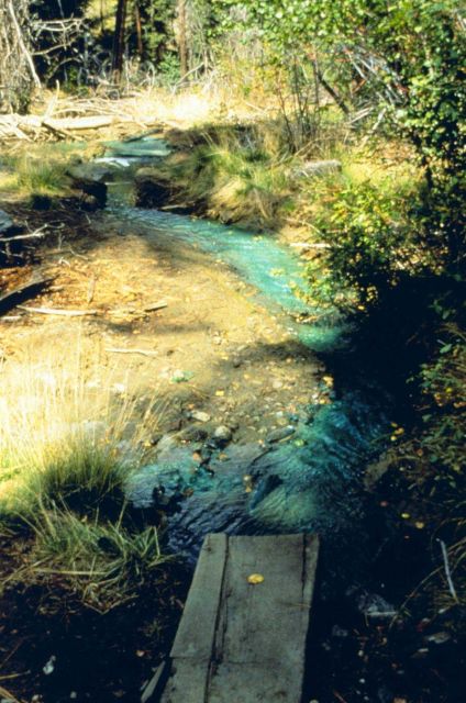 The distinct blue in this image is caused by copper contamination, Bucktail Creek Picture