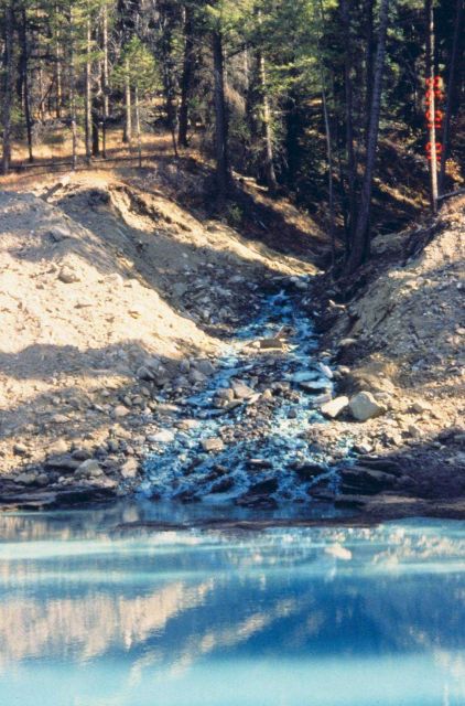 The distinct blue in this image is caused by copper contamination, Bucktail Creek Picture