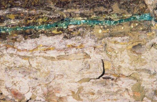 Contaminated materials that were deposited and then released during a severe thunderstorm caused trees to pick up the copper and release it through th Picture