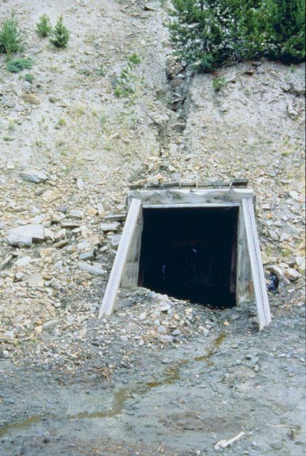 An adit or mine opening at Blackbird Mine. Picture