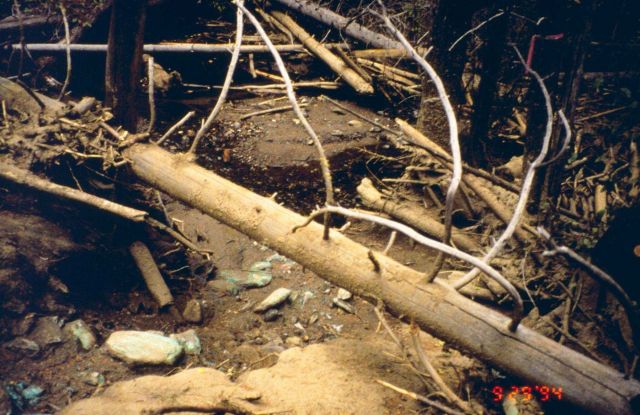 Bucktail Creek, this image was taken following a storm event and illustrates how high the deposition of sediments is. Picture