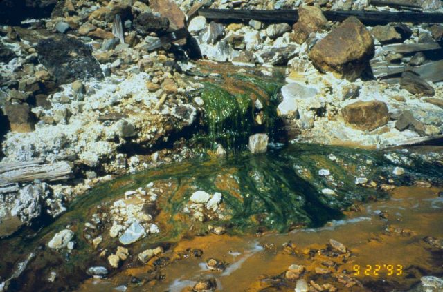Acid mine drainage, the orange color is from iron precipitate Picture