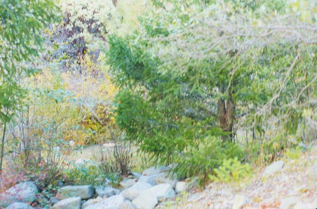 Spring Creek just above Boulder Creek input Picture