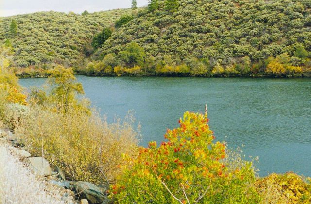 Keswick Reservoir near Flat Creeks near Redding, CA Picture