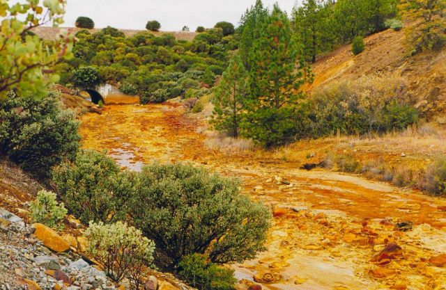 The stream below the Debris Dam, Iron Mountain Mine. Picture