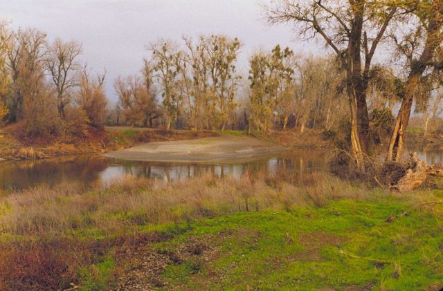 A meander in the Sacramento River just above Wilkins Slough. Picture