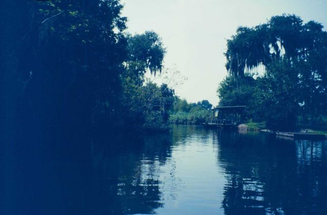 Myrtle Grove Picture