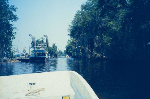 Myrtle Grove Picture