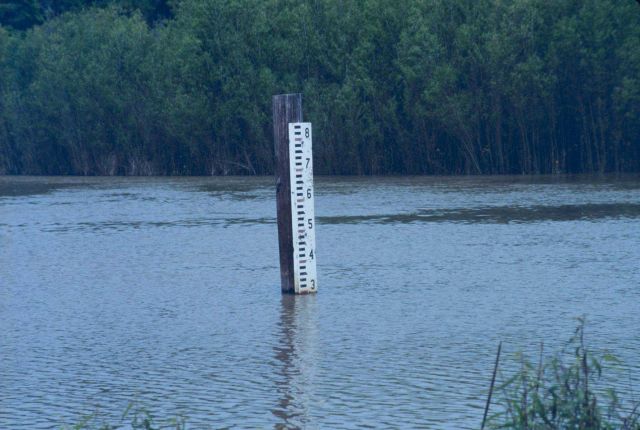 NOAA's Restoration Center Collection Picture