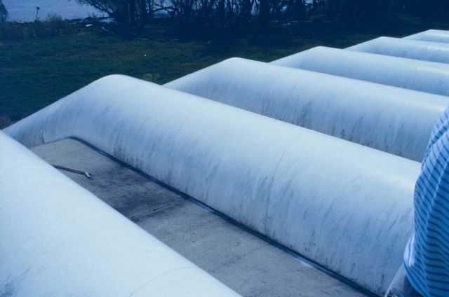 NOAA's Restoration Center Collection Picture