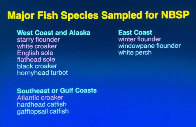 fish species sampled for NBSP Picture