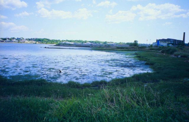 The New Bedford side of New Bedford Harbor, looking South. Picture