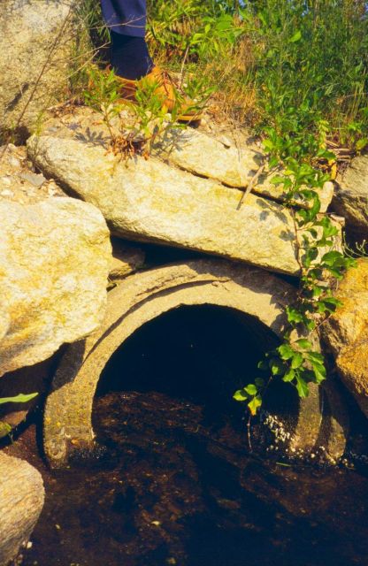 The combined sewer outfall pipe. Picture