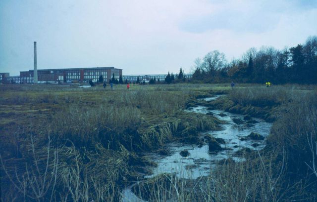 The marsh on the Fairhaven side of New Bedford Harbor looking across at the old factories. Picture