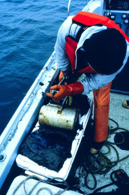 Tracey Collier of NMFS collects sediment samples using a Smith Macentyre Sediment Grab. Picture