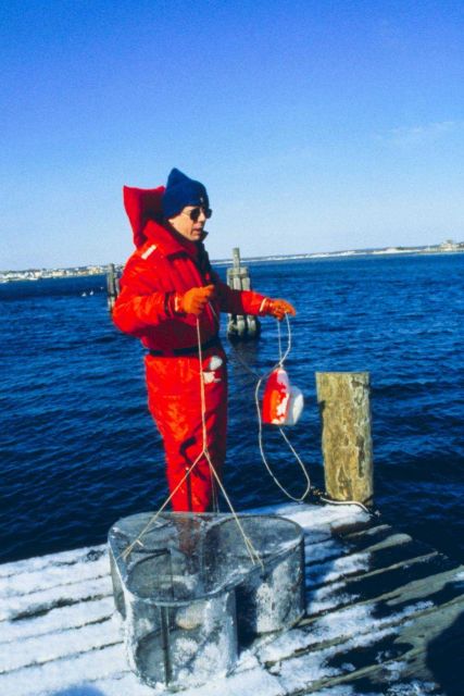 Tracey Collier of NMFS deploys a fish trap to sample for finfish exposure to oil Picture
