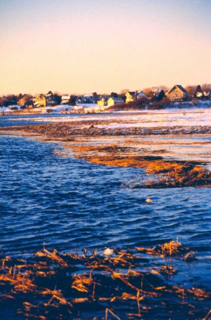 Trustom Pond shoreline. Picture