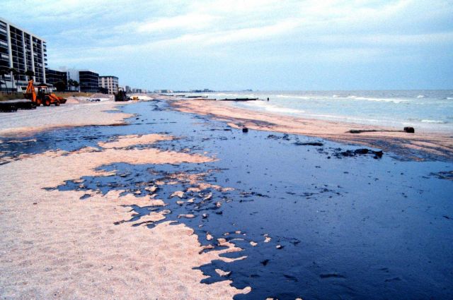An oiled beach north of Blind Pass, Treasure Island Picture