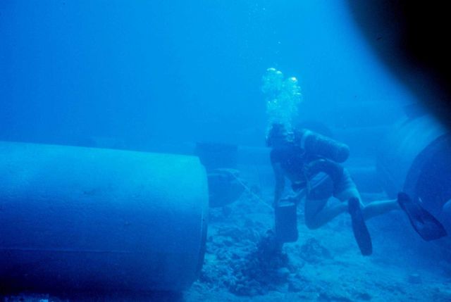 Diver laying transect line for conducting fish survey. Picture