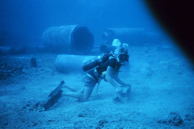 Diver laying transect line for conducting fish survey Picture