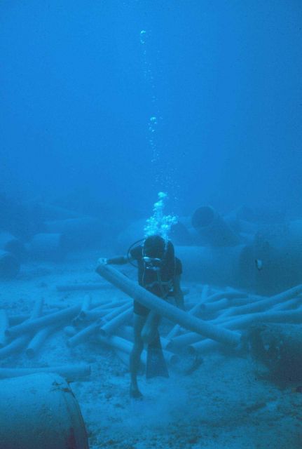 Small pipes were moved to the interior of larger pipes to create more complex habitats for comparative studies. Picture