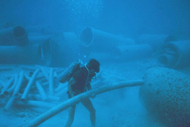 Small pipes were moved to the interior of larger pipes to create more complex habitats for comparative studies. Picture