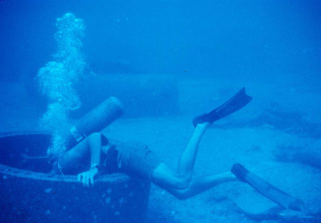 Investigating some of biota on the reef took close observations in difficult circumstances. Picture
