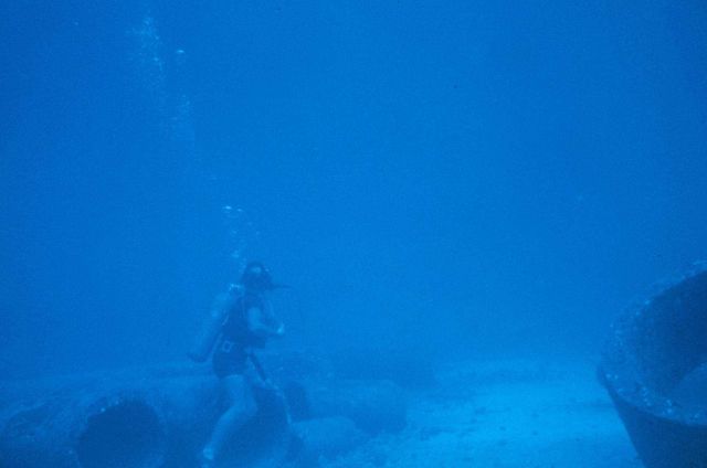 Underwater tape recorders were used to record the number and size of each fish species on a set transect Picture