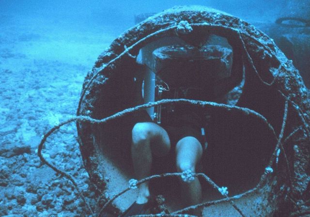 Underwater writing slates were used to record the different species adhering to the top, side and interior roof of pipes over time Picture