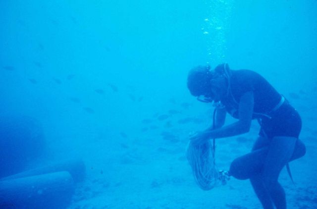 Diver disentangling rope from regulator while getting ready to lay a transect line. Picture
