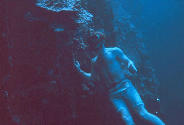 Snorkeler on a vertical wall Picture