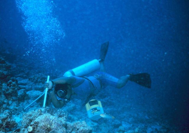 Scuba diving scientist installing marker Picture
