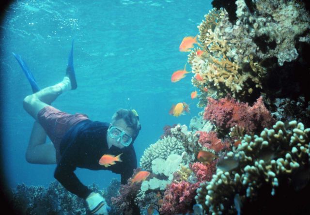 Ben Mieremet snorkeling on a Red Sea reef Picture