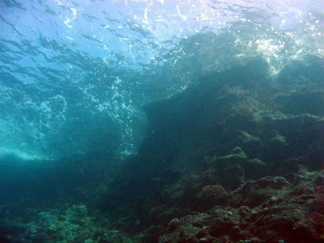 Shallow reef scene. Picture