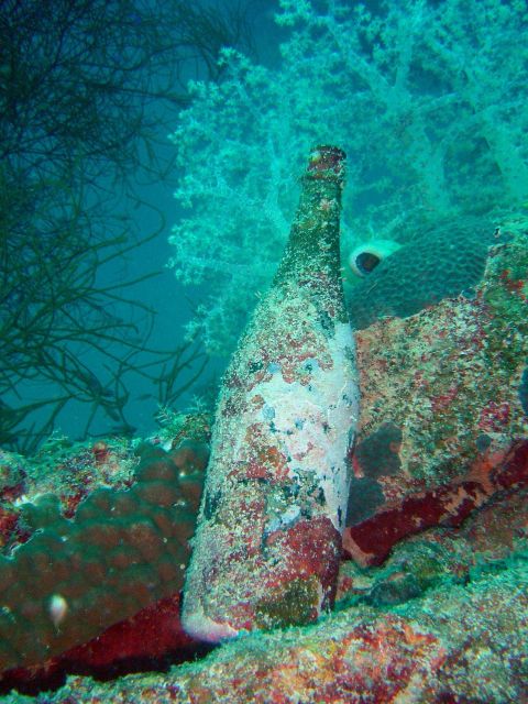 Bottle in Fumitsuki Maru. Picture