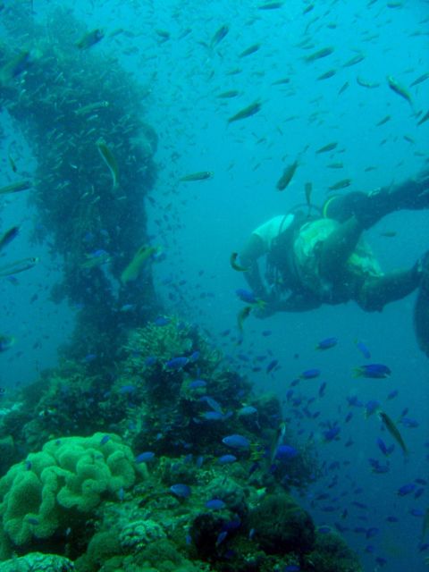Dive guide on Shinkoku Maru. Picture