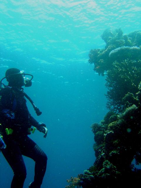 Diver on Sankisan Maru. Picture