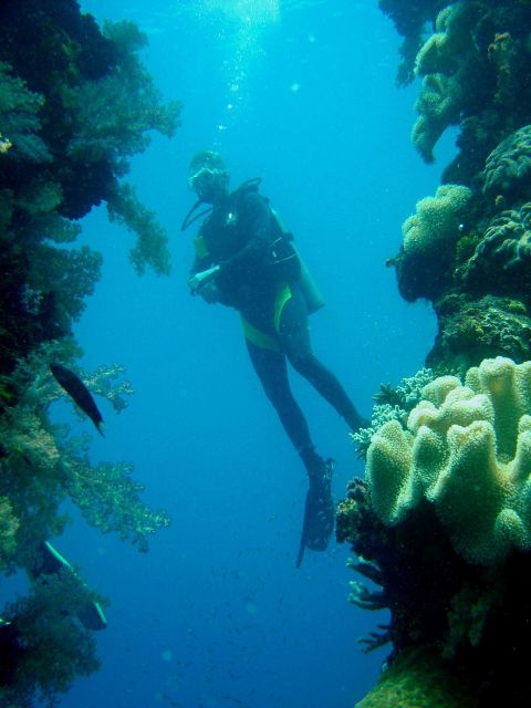 Diver on Sankisan Maru. Picture
