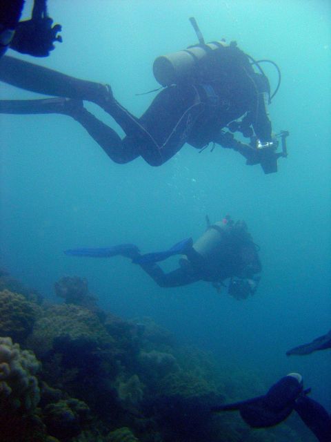 Divers on Hoyo Maru. Picture