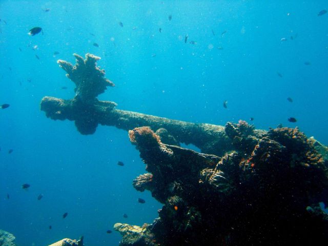 Coral encrusted gun on Hino Maru. Picture