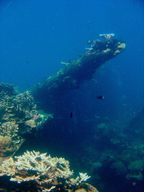 Coral encrusted gun on Hino Maru. Picture