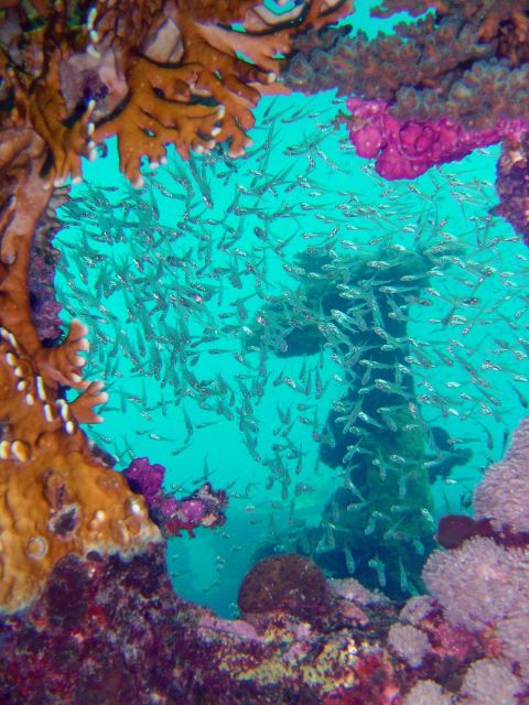 Looking through hole in Hino Maru. Picture