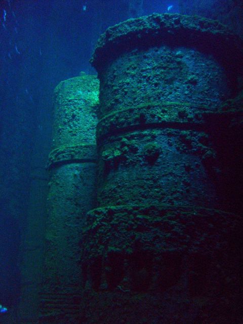 Inside of Fujikawa Maru. Picture